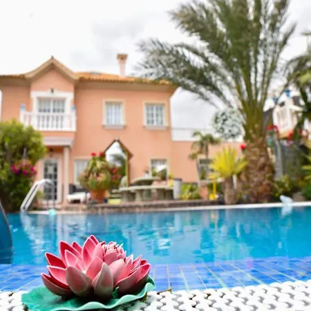 Apartamento With Shared Heated Pool *